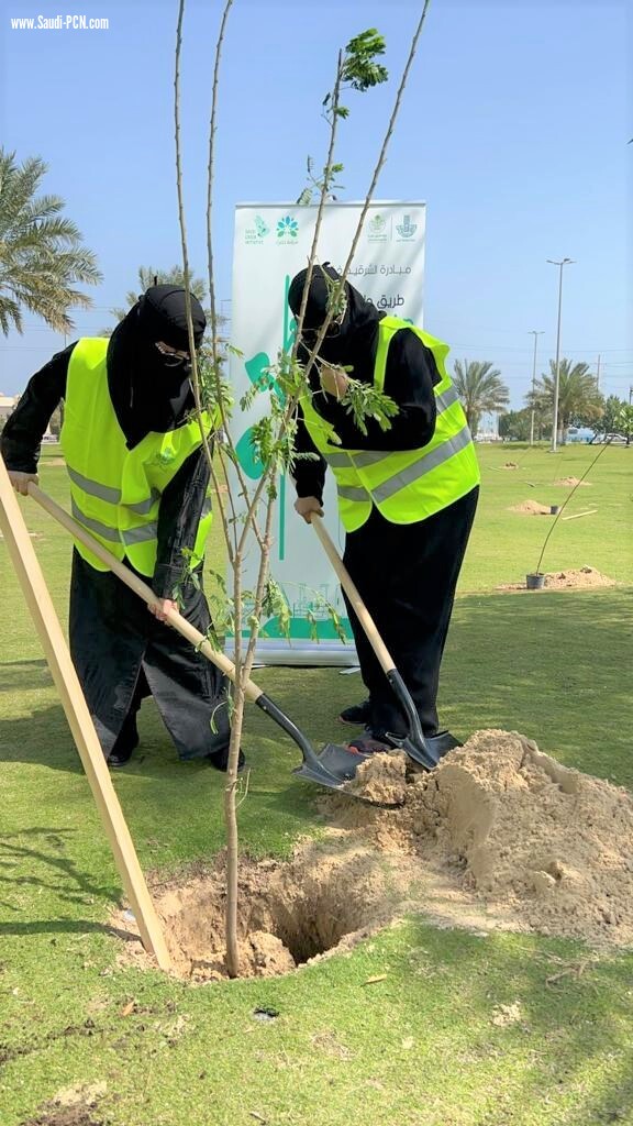 *بلدية الجبيل تزرع 1400 شجرة في الحدائق والمتنزهات والواجهة البحرية وشوارع المحافظة ضمن مبادرة “شرقية خضراء*