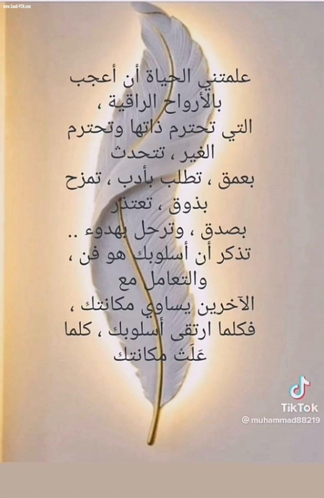 سيد كل العلاقات (الاحترام)