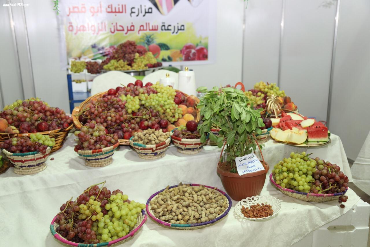 إطلاق مهرجان الفاكهة بطبرجل برعاية سمو أمير منطقة الجوف 