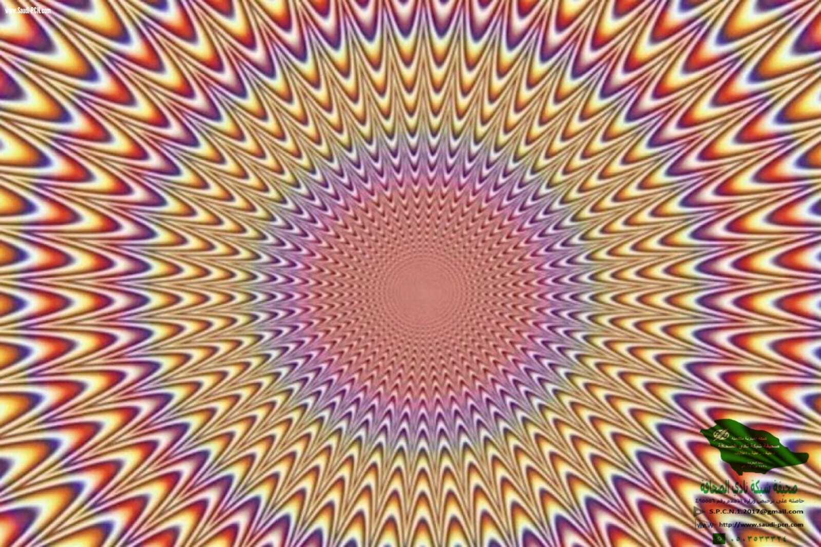 تنوع الفنون