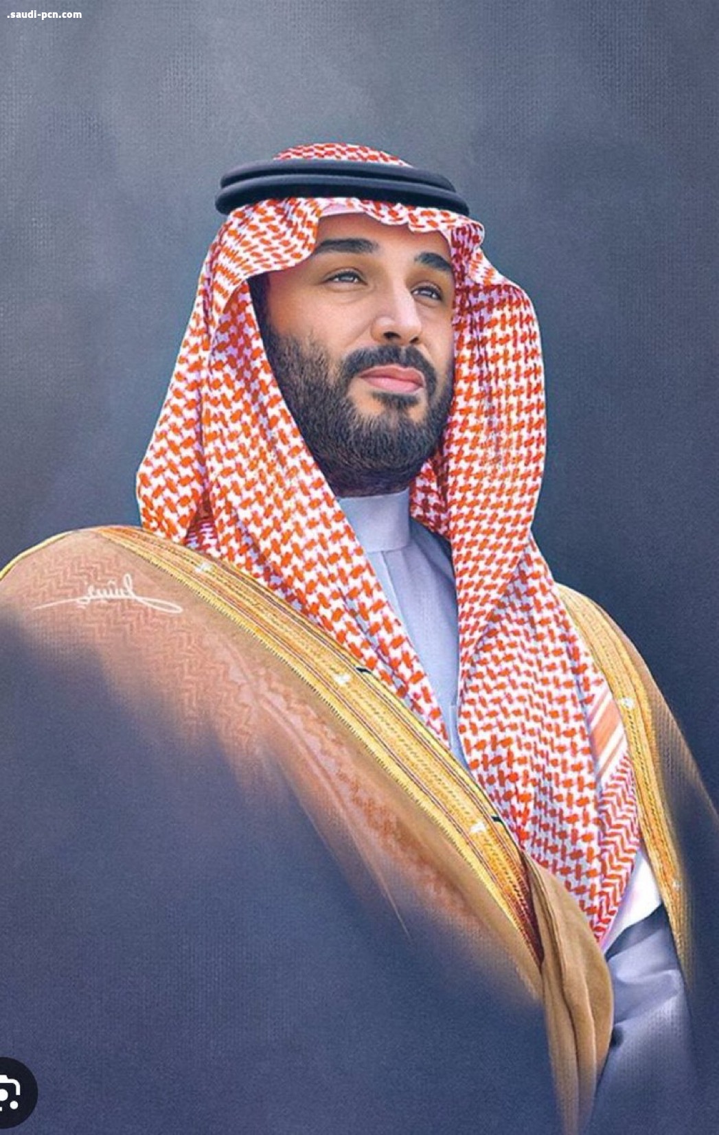 سمو ولي العهد الأمير محمد بن سلمان يتصدر استطلاع “الشخصية القيادية العربية الأكثر تأثيرا عام 2025