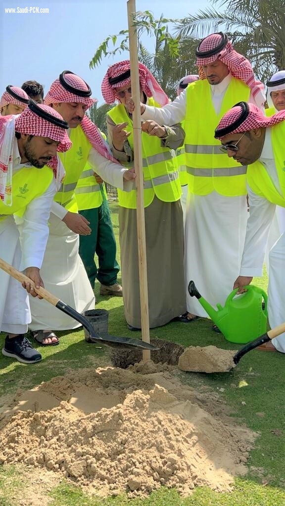 *بلدية الجبيل تزرع 1400 شجرة في الحدائق والمتنزهات والواجهة البحرية وشوارع المحافظة ضمن مبادرة “شرقية خضراء*