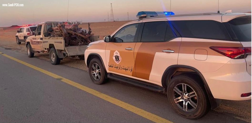 شرطة الجوف تضبط مواطنًا مخالفًا لنظام البيئة
