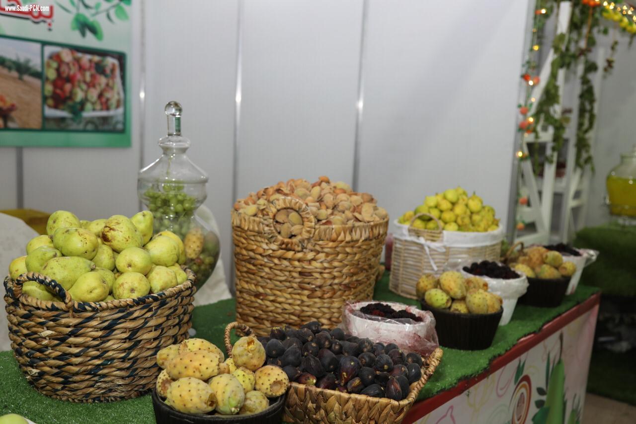 إطلاق مهرجان الفاكهة بطبرجل برعاية سمو أمير منطقة الجوف 