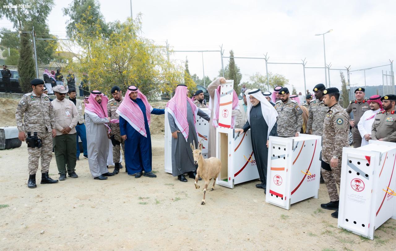 سمو أمير منطقة الباحة يرعى إطلاق 11 كائنًا فطريًا في منتزه الشكران