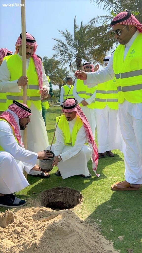 *بلدية الجبيل تزرع 1400 شجرة في الحدائق والمتنزهات والواجهة البحرية وشوارع المحافظة ضمن مبادرة “شرقية خضراء*