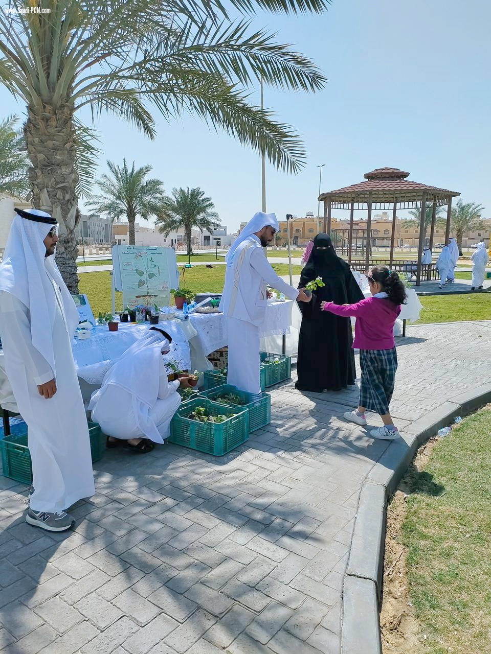 *خمسون طالب وطالبة يتعرفون على زراعة الشجرة وطرق العناية بها ضمن نطاق بلدية غرب الدمام*