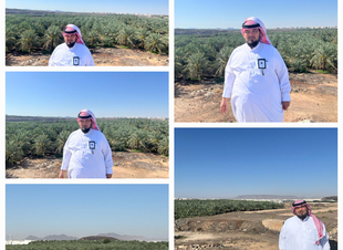 المدينة المنورة ومعالمها السياحية الطبيعية