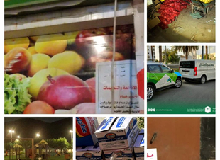 أمانة العاصمة المقدسة تزرع شتلات زراعية وتطلق مبادرات مجتمعية وتوقع عقود تشغيلية وتكرم موظفيها 