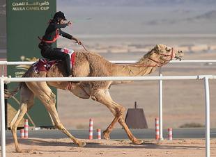 وزير الرياضة: وزارة الرياضة حرصت على تقديم جميع الأندية المستندات لنقوم بدعمها (سواسية).