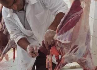 ١٢٩١ أضحية تم ذبحها خلال أيام العيد  بلدية صامطة في بيانها حول أداء المسلخ