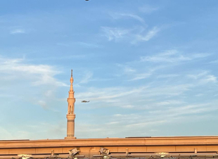 صلاة العيد من المسجد النبوي الشريف 