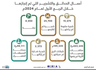 أمانة جدة تزيد الغطاء النباتي وتزرع أكثر من 15 ألف شجرة خلال الربع الأول من 2024