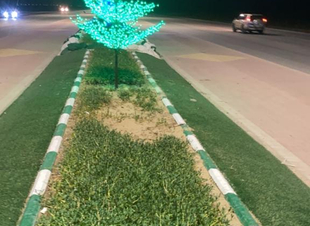 *بلدية الخفجي تُزيين ممشى الواجهة البحرية ومدخل المحافظة للجهة الغربية* 