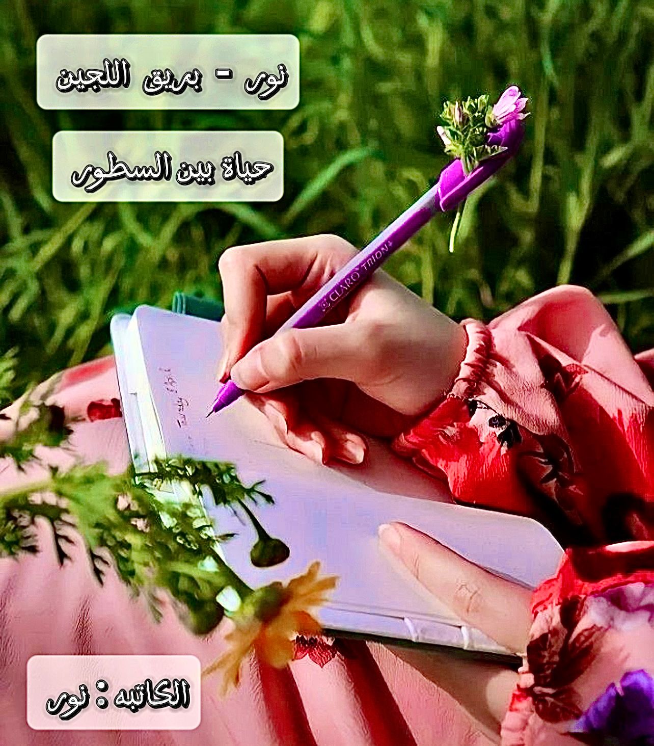 المطرقة