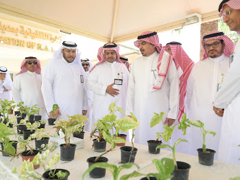 العمري والفيروزي وعودة للعصر الذهبي وزمن مستشفى النور التخصصي الجميل