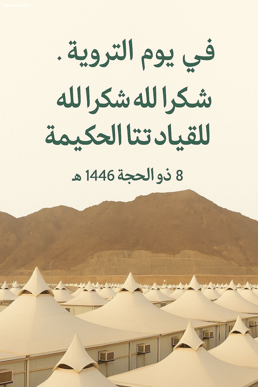 في يوم التروية.. شكرًا لله، ثم شكرًا لقيادتنا الحكيمة..
