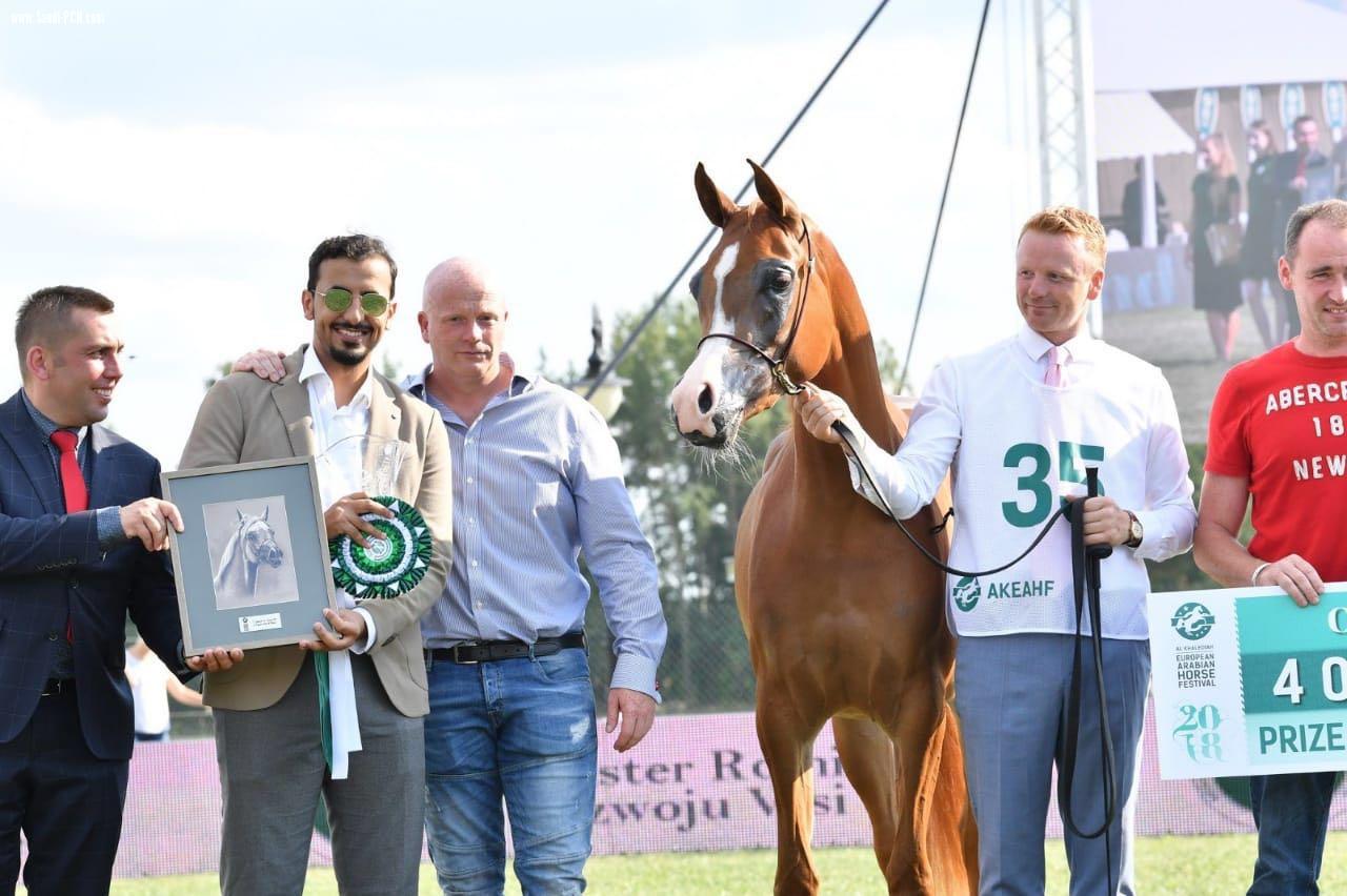 فينس تجدد عهد  المعود  بالبطولات الأوروبية