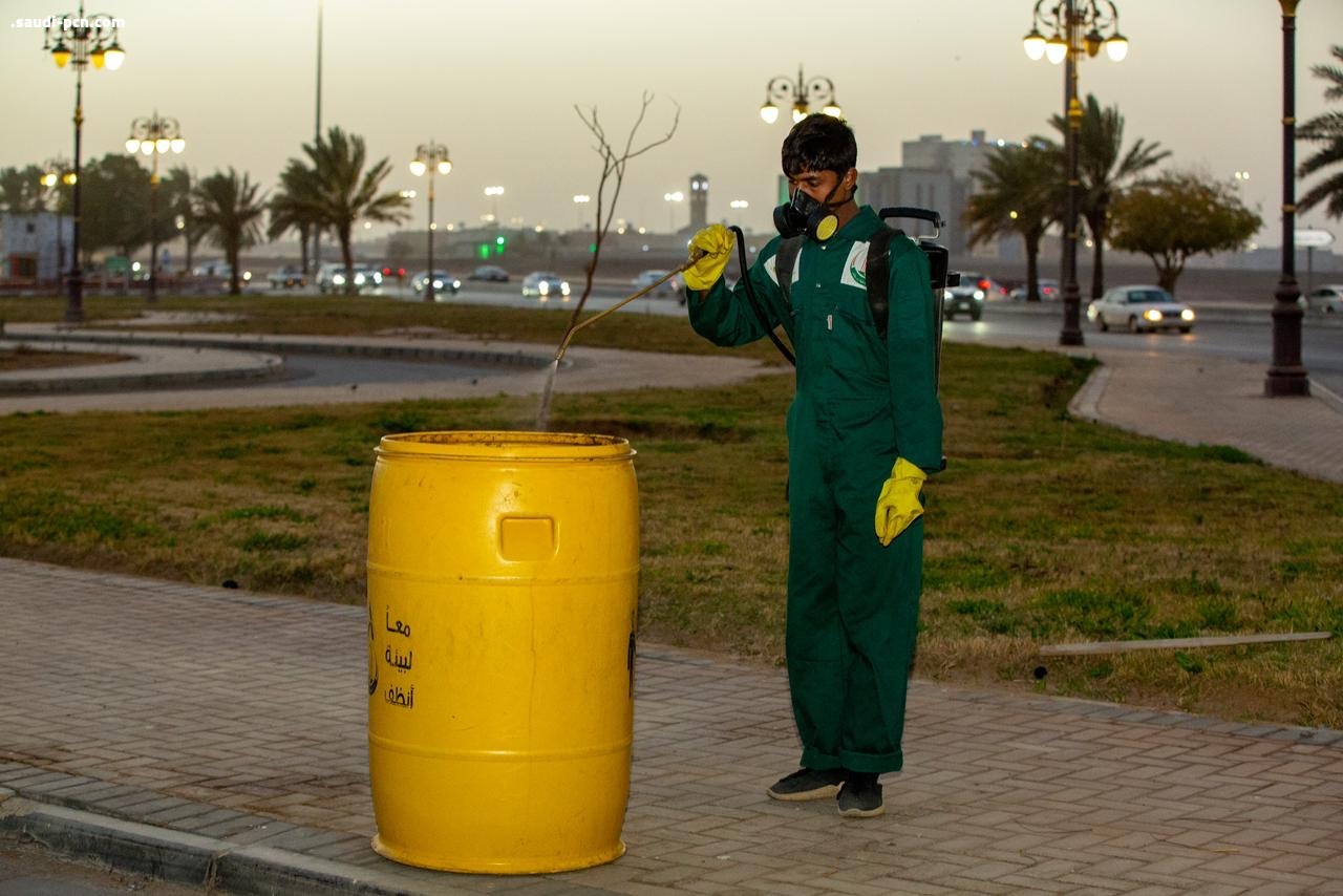 في نصف عام.. أمانة تبوك تستخدم مليون لتر من المبيدات لمكافحة الحشرات 
