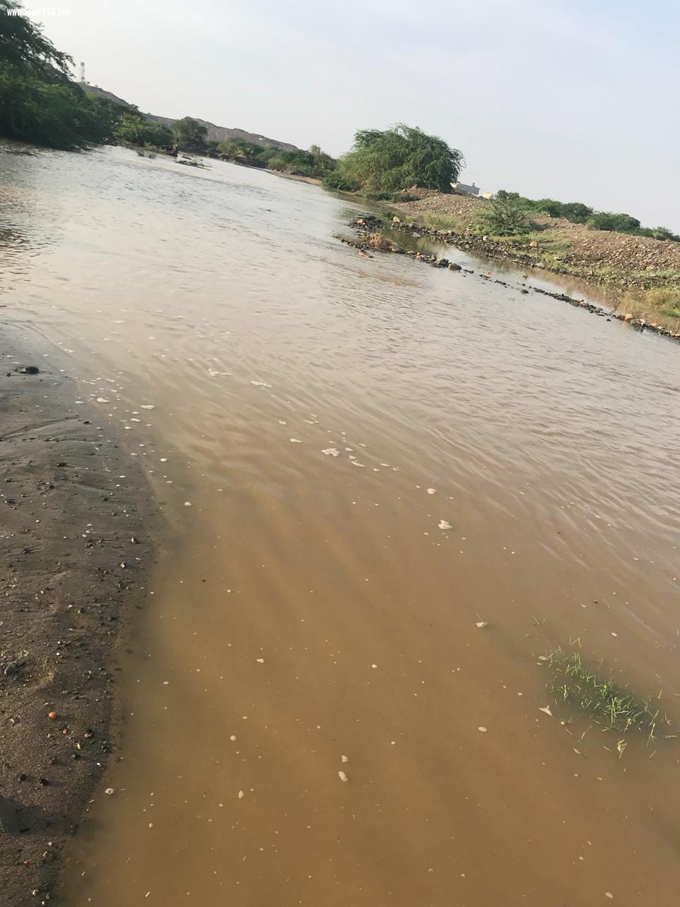 بالصور اهالي ام الدفين يعانون من طريق المؤدي الى مسليه