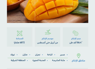 البيئة المملكة تحقِّق اكتفاءً ذاتيًا من المانجو بنسبة 51.7% بإنتاجٍ يتجاوز 86.4 ألف طن سنويًّا