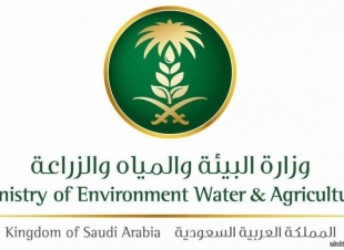 البيئة تستكشف وتعالج 239.810 آلاف هكتارًا من الجراد الصحراوي في 2021