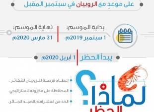 البيئة