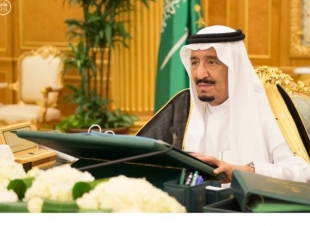 لوائح وأنظمة قواعد عمل اللجان الإشرافية للقطاعات المستهدفة بالتخصيص ومهماتها  