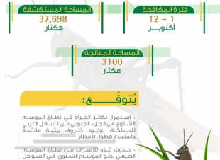 البيئة تكافح الجراد في 3 آلاف هكتار بالليث وجازان.. وتستكشف في الساحل الجنوبي الغربي
