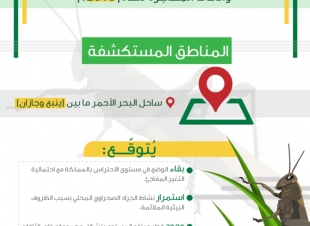 البيئة تتوقع استمرار نشاط الجراد الصحراوي بسبب الظروف البيئية 