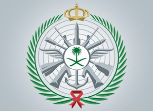 وزارة الدفاع تحقق تقدماً في القياس التاسع للتحول الرقمي