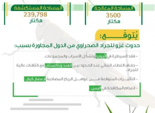 البيئة تكافح الجراد في 3,5 ألف هكتار بالليث وجازان.. وتتوقع غزواً من البلدان المجاورة