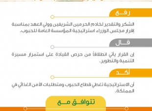 المهندس الفضلي يشكر القيادة الرشيدة لإقرار مجلس الوزراء استراتيجية المؤسسة العامة للحبوب
