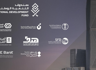 منظومة التنمية تدعم الاقتصاد الوطني بأكثر من 135 مليار ريال خلال العام 2022