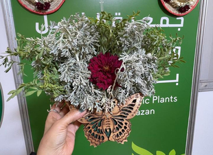 جمعية الفُل والنباتات العطرية بجازان تُعرف زوار مهرجان المانجو بمبادراتها وخدماتها الزراعية