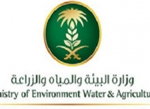 البيئة تعلن عن تعليق استيراد المواشي الحية من السودان وجيبوتي