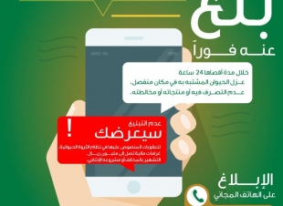 البيئة