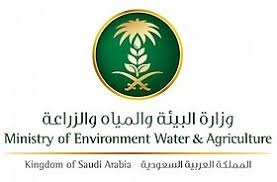 البيئة تدعو 632 مرشحًا على وظائفها للمقابلة الشخصية  ومطابقة بياناتهم المرحلة الثانية