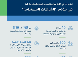 المشيطي نعمل على توطين الابتكار والبحث العلمي لتحقيق الاستدامة والوصول للاقتصاد الأخضر