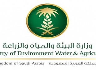 البيئة تؤكد عدم صدور قرار بفرض رسوم على استهلاك مياه الآبار في المزارع