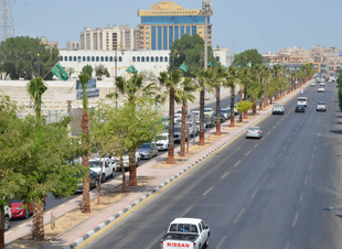 *أمانة الشرقية: استمرار أعمال الزراعة وصيانة شبكات الري بحاضرة الدمام*