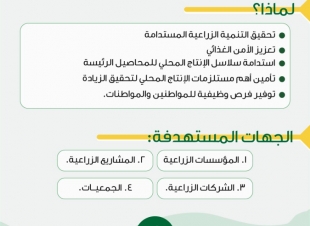 البيئة تطرح فرصة استثمارية لإنتاج تقاوي البطاطس وإكثارها بـ 85 مليون ريال