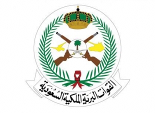سلاح الطيران بالقوات البرية يعلن فتح باب التقدم على دورة الفرد الأساسي 