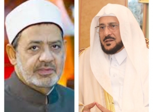 وزير الشؤون الإسلامية يطمئن على صحة شيخ الأزهر .