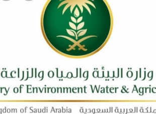 البيئة تعلن عن 200 وظيفة للجنسين بنظام التعاقد في مختلف مناطق المملكة