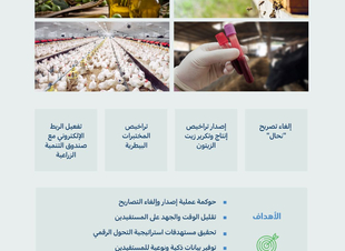 البيئة تطلق خدمات إلكترونية لتصاريح النحالين وإصدار تراخيص إنتاج الزيوت والمختبرات البيطرية